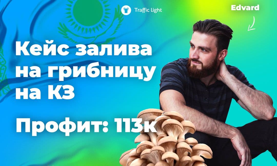 Кейс залива на грибницу на КЗ с профитом в 1130$ за неделю
