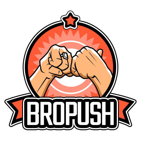 Обзор партнерской программы - Bropush