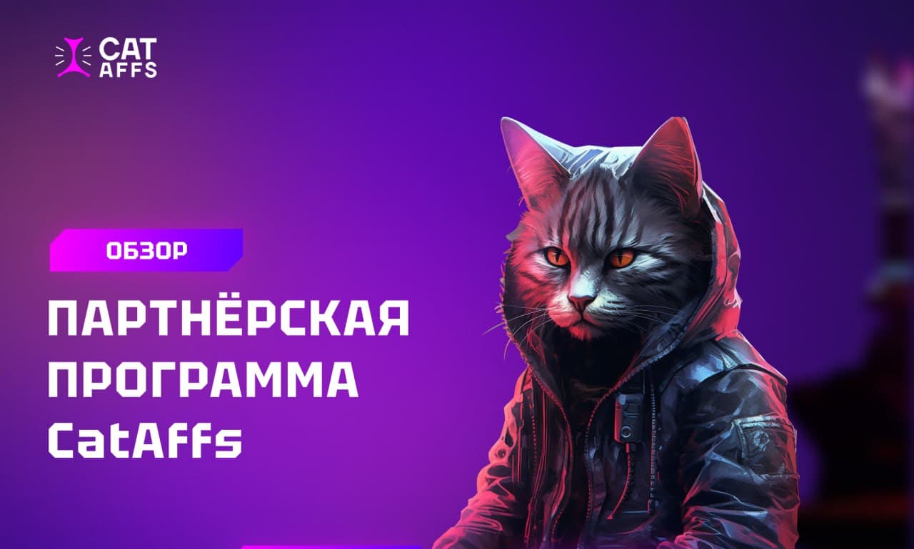 Партнерская программа CatAffs: преимущества, условия и обзор кабинета