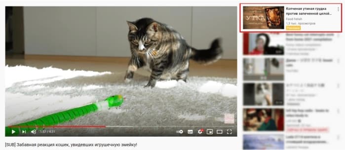 Обзор запуска платной рекламы на YouTube: на что можно лить и сколько это будет стоить