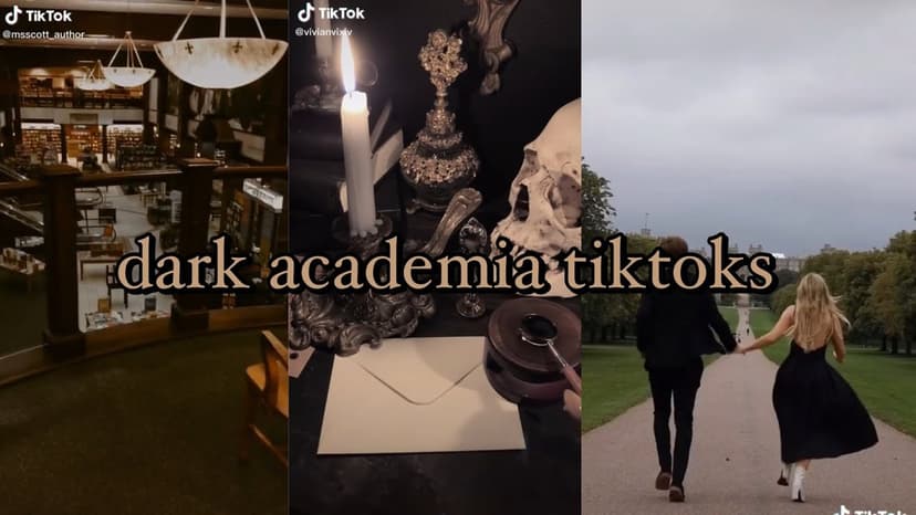 Таргетируемся на субкультуры в TikTok: самые популярные сообщества соцсети